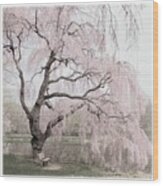 Weeping Spring 2 - Holmdel Park Wood Print