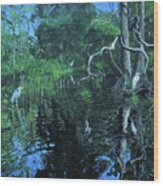 Wekewa River Wood Print
