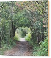 Welcome To The Wooded Path Wood Print