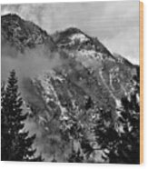 Wenatchee National Forest Black And White 2 Wood Print