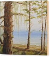 West Coast View Wood Print