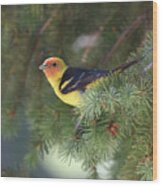 Western Tanager Wood Print