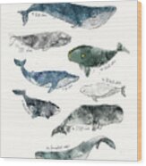 Whales Wood Print