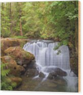 Whatcom Falls Wood Print