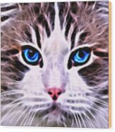 Whiskered One Wood Print