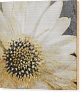 White And Gold Daisy Wood Print
