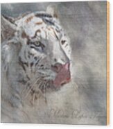 White Bengal Tiger Wood Print