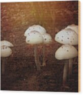 White Cap Mushrooms Wood Print
