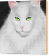 White Cat Wood Print