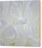 White Chrysanthemum Wood Print