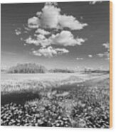 White Clouds Over The Marsh In Black And White Wood Print