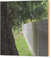 White Fence And Tree Wood Print
