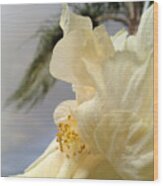 White Hibiscus Wood Print