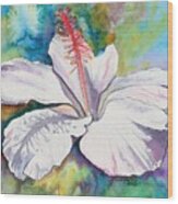 White Hibiscus Waimeae Wood Print