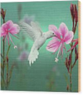 White Hummingbird And Pink Guara Wood Print