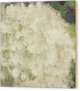 White Hydrangeas - Bring On Spring Series Wood Print