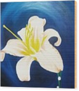 White Lilly Wood Print
