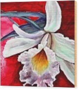 White Orchid Wood Print