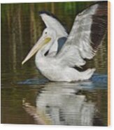 White Pelican Wood Print