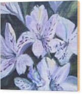 White Peruvian Lily Wood Print