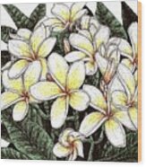 White Plumeria Flowers Wood Print