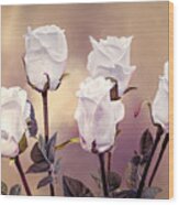 White Rose Buds Wood Print