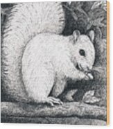 White Squirrel Wood Print