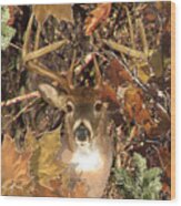 White Tail Deer Buck Fall Camo Wood Print