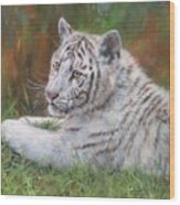 White Tiger Cub 2 Wood Print