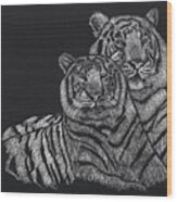 White Tigers Wood Print
