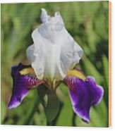 White Violet Iris Invitation Wood Print