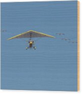 Whooping Cranes And Operation Migration Ultralight Wood Print