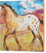 Wild Appaloosa Horse Wood Print