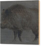 Wild Boar In Winter Coat Wood Print