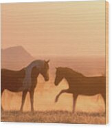 Wild Horse Glow Wood Print