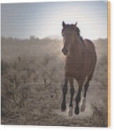 Wild Mustang Stallion Running Wood Print