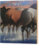 Wild Mustangs Of The Verder River Wood Print