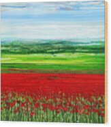 Wild Poppies Corbridge Northumberland 2009 Wood Print