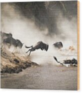 Wildebeest Leap Of Faith Into The Mara River Wood Print