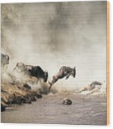 Wildebeest Great Migration River Crossing In Kenya Africa Wood Print