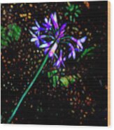 Wildflower Wood Print