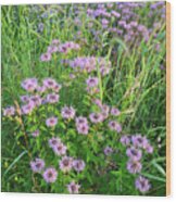 Wildflower Bouquet In Glacial Park Wood Print