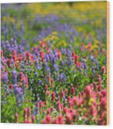 Wildflower Meadow And Hummingbird Wood Print