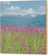 Wildflower Meadows And The Carpathian Mountains, Romania Wood Print