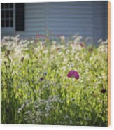 Wildflowers And Pink Poppy Sunshine Wood Print