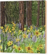 Balsamroot And Lupine In A Ponderosa Pine Forest Wood Print