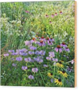 Wildflowers In Moraine Hills State Park Wood Print