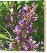 #wildflowers In #purple #country Wood Print