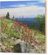 Wildflowers In The Cascades Wood Print