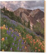 Wildflowers With Twin Peaks At Sunset Wood Print